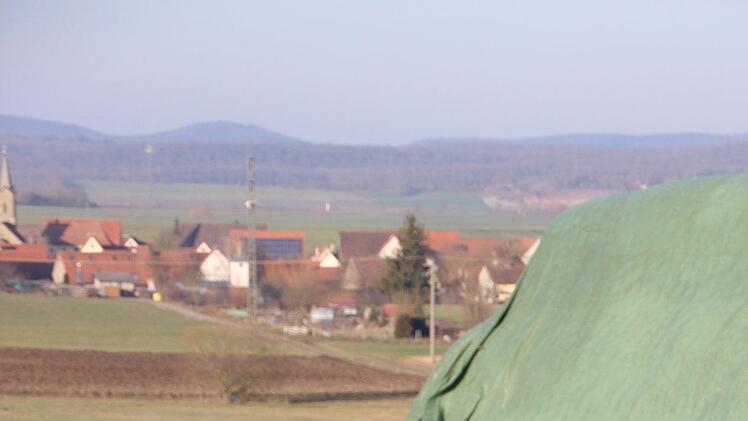 Arri liebt das Apportieren. Fuchs