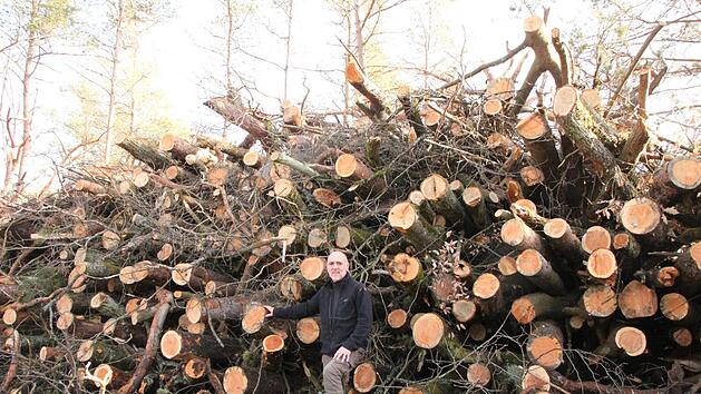 Stadtf&ouml;rster J&ouml;rg M&auml;ckler steht in einem der Berge von Holzabf&auml;llen, die im Laufe des Jahres zu Hackschnitzeln verarbeitet werden sollen. Das Gr&ouml;&szlig;enverh&auml;ltnis zeigt ein kleines bisschen, welche gro&szlig;en Mengen an Schadholz angefallen sind.Foto: Heike Beudert