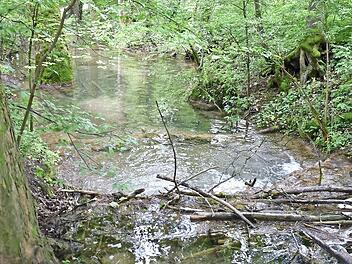 Wie groß ist die Gefahr, die von der Kalkach für Gräfenberg ausgeht? Im Stadtrat ist man uneins.