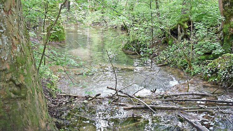 Wie groß ist die Gefahr, die von der Kalkach für Gräfenberg ausgeht? Im Stadtrat ist man uneins.