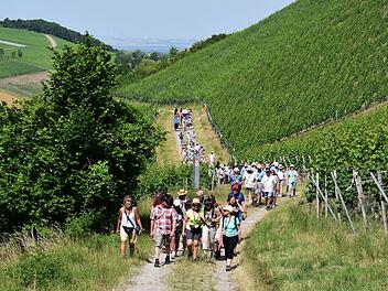 Landkreis Kitzingen: 6. Landkreiswanderung findet Mitte Juni statt - wo es hin geht und was zu beachten ist