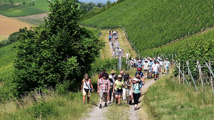 Landkreis Kitzingen: 6. Landkreiswanderung findet Mitte Juni statt - wo es hin geht und was zu beachten ist