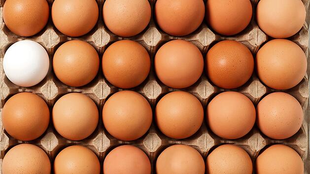 Braune Eier werden wohl langsam aus den Supermarktregalen verschwinden