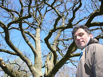 Fachberater Dieter Büttner ist zuständig für die Prüfung von Bäumen. Foto:Ralf Ruppert