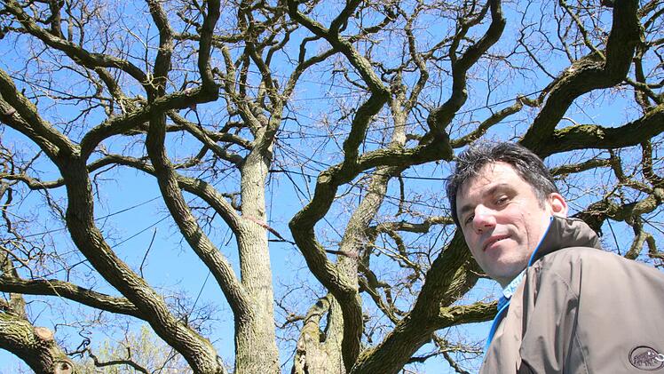 Fachberater Dieter Büttner ist zuständig für die Prüfung von Bäumen. Foto:Ralf Ruppert