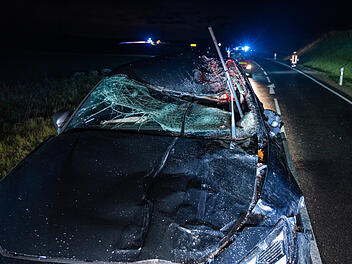 Pkws krachen in ausgebüxte Pferde - zwei Verletzte Personen und drei tote Pferde auf Landstraße