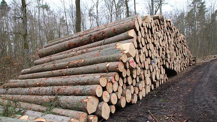 160 Kubikmeter Fichtenstämme warten auf ihre Abholung. Thomas Malz
