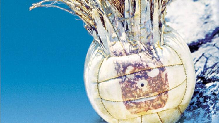 Begehrt blieb Wilson trotzdem. 2021 wurde der "Cast Away"-Star bei einer Auktion f&uuml;r umgerechnet 270.000 Euro versteigert.