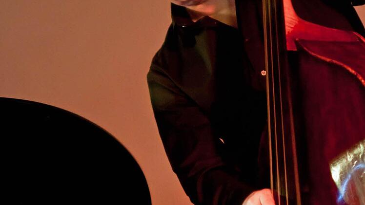 Reichlich Applaus gab es für das Dauner-Trio im Rathaussaal. Am Kontrabass: Dieter IlgFoto: Jochen Berger