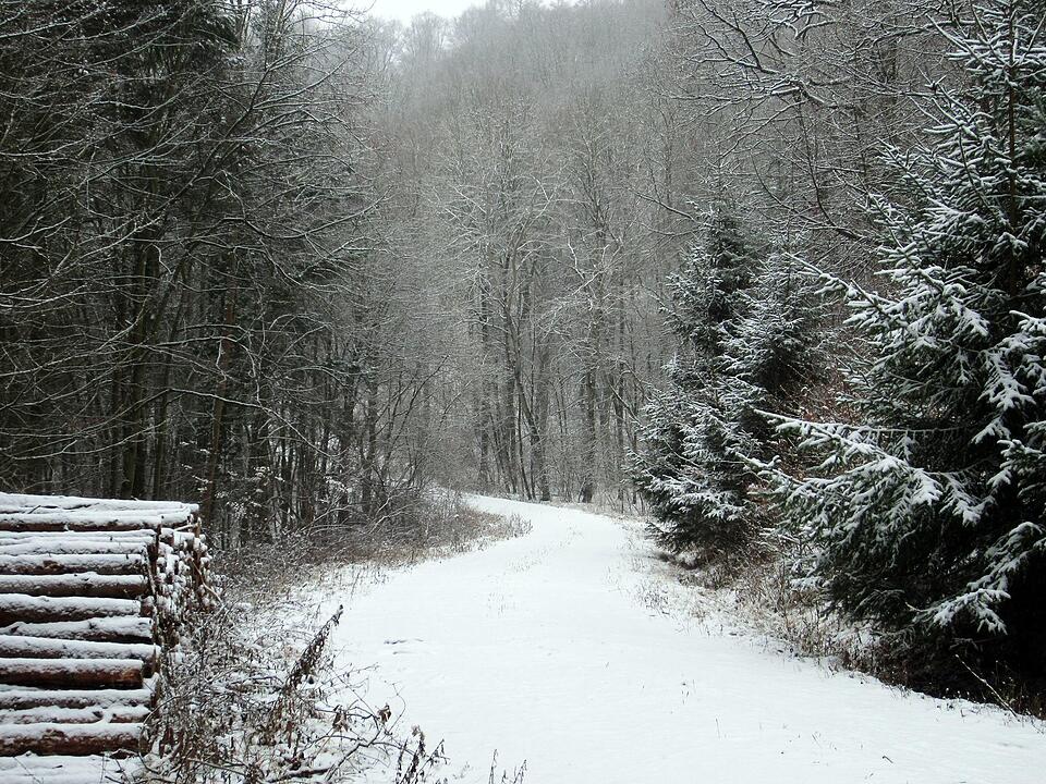 Fotos Konrad Thomann