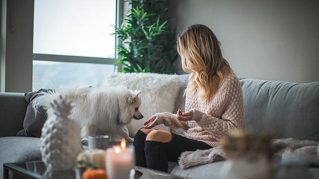 Zuwendung und Ruhe helfen Hunden über die stressige Silvesterzeit.