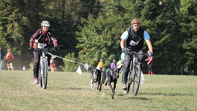 Bikej&ouml;ring ist die angesagte Sportart mit Hund und Fahrrad. Je schneller, desto besser - Freunde des tierischen Outdoor-Vergn&uuml;gens kommen hier voll auf ihre Kosten.