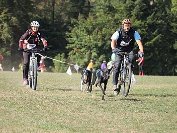 Bikejöring ist die angesagte Sportart mit Hund und Fahrrad. Je schneller, desto besser - Freunde des tierischen Outdoor-Vergnügens kommen hier voll auf ihre Kosten.