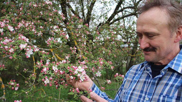 Karlheinz Federlein steht an einem seiner Apfelbäume, die im Herbst den Stoff für den neuen Schnaps liefern sollen. Foto: Beudert