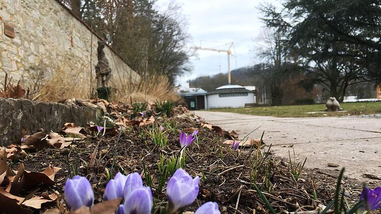 Bl&uuml;hende Fr&uuml;hlingsboten im Kleinen RosengartenFoto: Jochen Berger