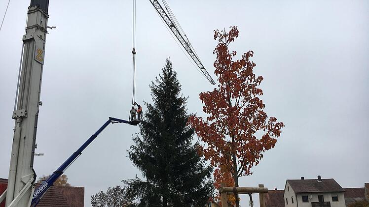 Dieser Riesen-Weihnachtsbaum in Mönchherrnsdorf wurde per Kran in Position gebracht. Foto: Anette Schreiber