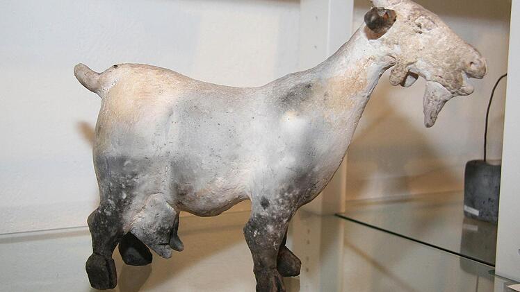 Die lustigen Ziegen sind Julia Tittmanns Lieblingstiere.