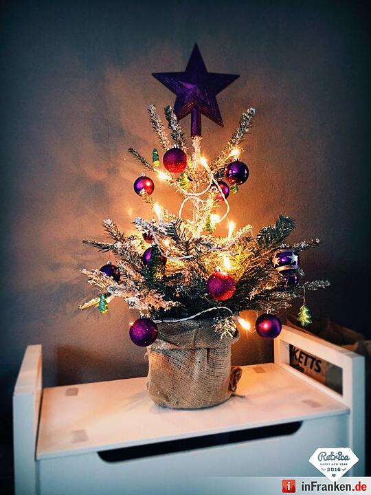 Weihnachten in Franken: Die Christbäume unserer Leser