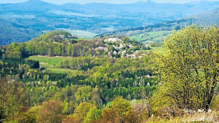 Gegen den geplanten Nationalpark formiert sich auch am Fuße des Kreuzbergs Widerstand.  Foto: Jürgen Hüfner