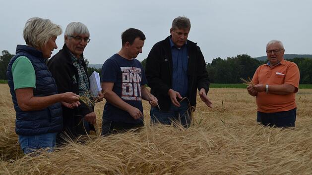 Kaum Körner in den Ähren der Wintergerste: Heidi Bauersachs, Hans Rebelein, Ralf Thamm, Martin Flohrschütz und Walter Thamm (von links) begutachten in der Neustädter Flur die Ertragserwartung.  Foto: Gabi Bertram