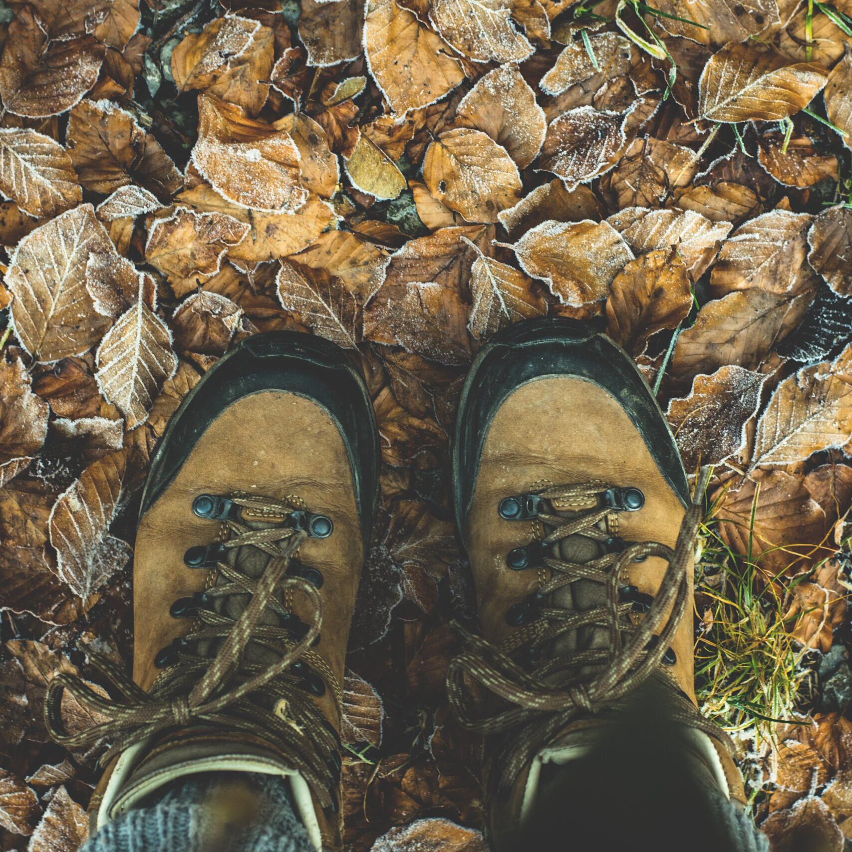 bergschuhe testsieger