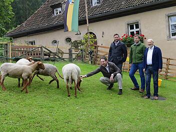Ehrenb&uuml;rger Wolfgang Dultz, Sch&auml;fer Tristan Wolf, B&uuml;rgermeister Martin Finzel, Ehrenb&uuml;rger Michael Stoschek (von rechts), der Bock "Carl" streichelt. Foto: Gemeinde Ahorn