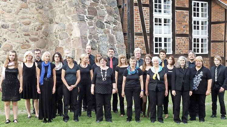 Das Vocalensemble Ludwigsburg gastiert heute in Frauendorf. Foto: privat