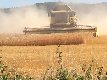 Im Landkreis Bad Kissingen hat die Getreideernte schon begonnen. Der M&auml;hdrescher f&auml;hrt zwischen Burghausen und Haard. Foto: Isolde Krapf