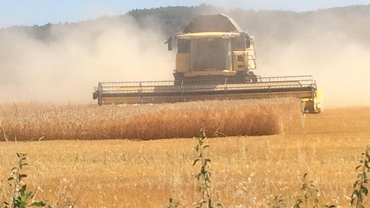 Im Landkreis Bad Kissingen hat die Getreideernte schon begonnen. Der M&auml;hdrescher f&auml;hrt zwischen Burghausen und Haard. Foto: Isolde Krapf