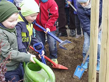Noch warm angekleidet gaben die Kinder der neuen Hainbuche ihren Platz und gossen sie an.  Foto: Winfried Ehling