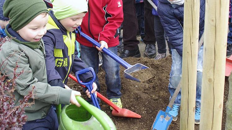 Noch warm angekleidet gaben die Kinder der neuen Hainbuche ihren Platz und gossen sie an.  Foto: Winfried Ehling