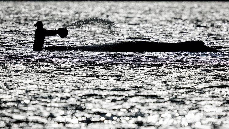 Weitere Entwicklung zum Buckelwal in der Ostsee