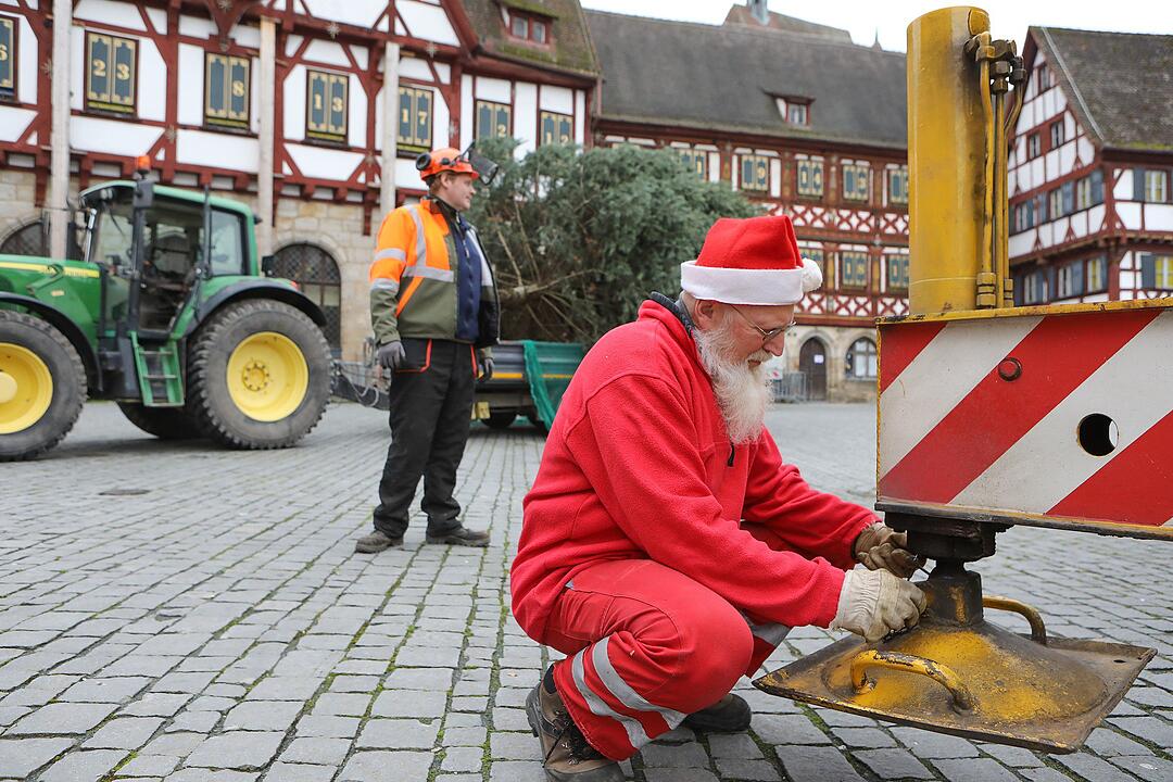 Christbaum kommt aus Schlaifhausen  auf den Forchheimer Rathausplatz