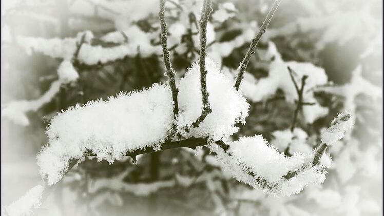 Winter in Morschreuth. Foto: Tom Kern
