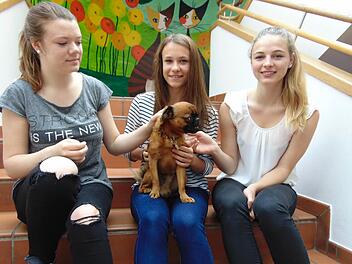 Die Neunkirchner Laura, Vanessa und Sarah nehmen den kleinen Hund Arthur in ihre Mitte.  Foto: Petra Malbrich