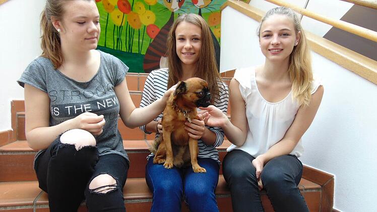 Die Neunkirchner Laura, Vanessa und Sarah nehmen den kleinen Hund Arthur in ihre Mitte.  Foto: Petra Malbrich