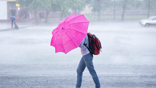 Regen, Regenschirm, Nass, Herbst, Kaltfront, Kalt, Wind, Sturm