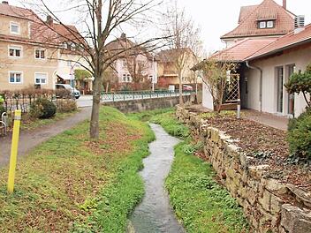 Der kleine Platz an der Lauter neben Schäfers Café wird optisch aufgewertet. Hier sollen unter anderem drei großkronige Platanen gepflanzt werden. Ins Pflaster werden die Wasserfontänen des Zufallsbrunnen integriert - so ähnlich wie am Coburger Albertplatz. Fotos: Matthias Einwag