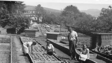 Im Staatsbad wurde abseits der Kuranlagen auch Gem&uuml;se angebaut. Stehend der Vater von Siegfried Ritter im Jahr 1936. Foto: Archiv Ritter
