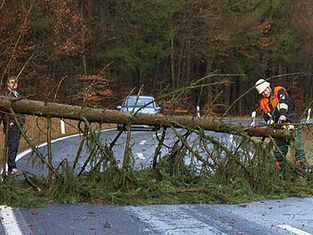 In vielen Orten im Landkreis Haßberge machte sich das Sturmtief "Burghild" bemerkbar. Besonders im nördlichen Landkreis. Hier bei Breitbrunn musste die Feuerwehr einen Baum von der Straße holen.Günther Geiling