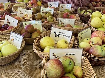 Weismain lädt zu Veranstaltungen am Sonntag ein - Herbstfest, Kinderflohmarkt und Co.