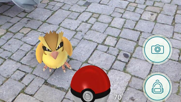 Beim Spielen von Pokémon Go kann einiges passieren. Das zeigen Meldungen aus aller Welt.