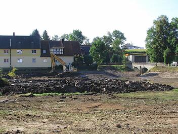 Etwa 5000 Kubikmeter Schlammboden müssen am Schlossteich ausgehoben werden.  Foto: Norbert Karbach