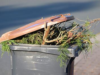 Bamberg: Wegen Warnstreik - Mülltonnen werden möglicherweise zu Termin nicht geleert