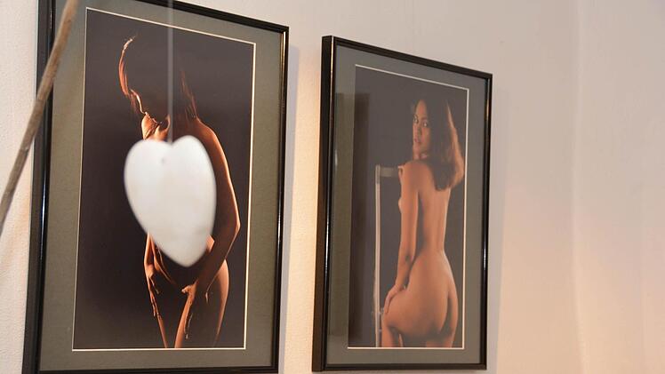 Kunstausstellung zum Thema "Opulent" des Kulmbacher Kunstvereins. Foto: Dagmar Besand