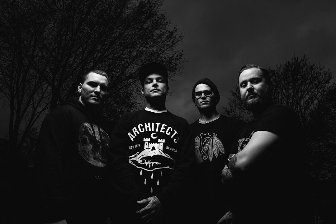 The Amity Affliction