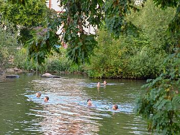 Auch im Sommer 2019 ist Baden an der Bamberger Konzerthalle beliebt. Foto: Ronald Rinklef