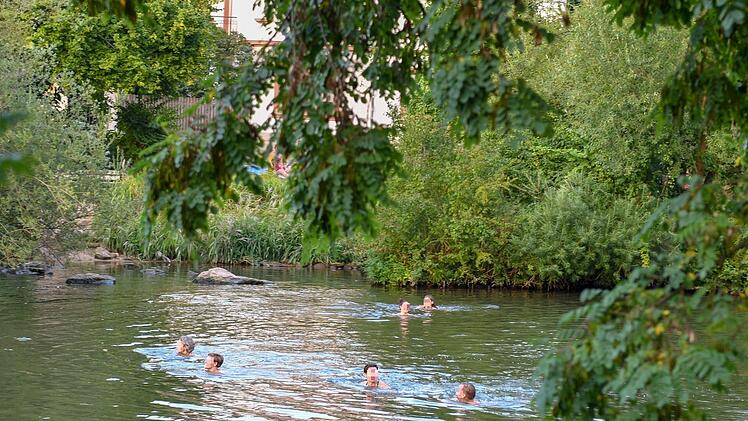 Auch im Sommer 2019 ist Baden an der Bamberger Konzerthalle beliebt. Foto: Ronald Rinklef