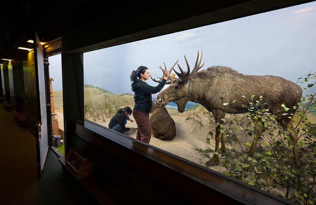 Verborgene Sch&auml;tze im Senckenberg-Museum
