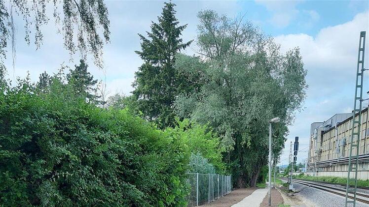 Der Fußgängerweg im Bereich der Firma Piasten zur Jean-Paul Straße,  westliche Seite Foto: Deutsche Bahn AG